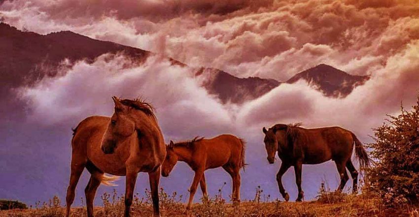 Where is Filband, Mazandaran: Stand above the clouds Where is Filband, Mazandaran: Stand above the clouds